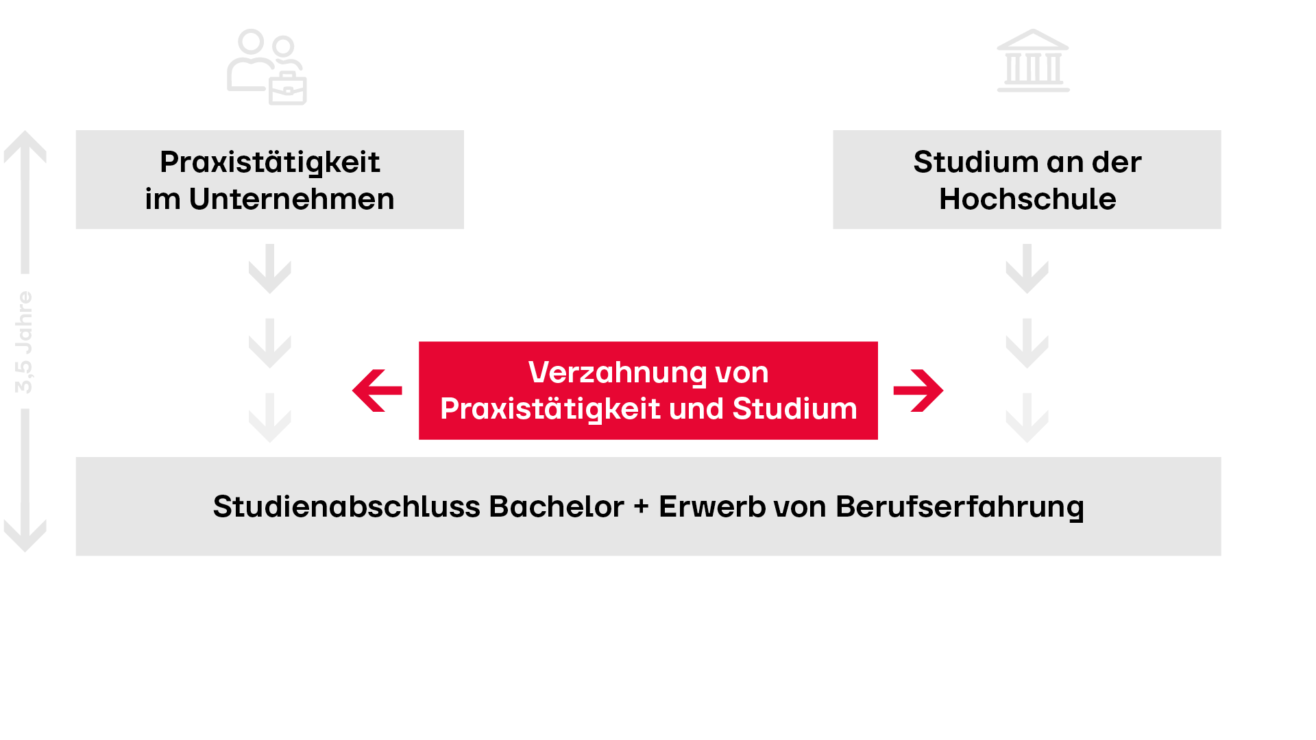 Grafik Ablauf eines Studiums mit vertiefter Praxis bei Circutec