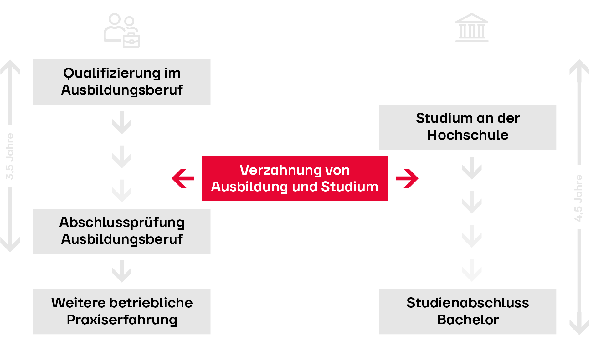 Grafik Ablauf eines Verbundstudiums bei Circutec
